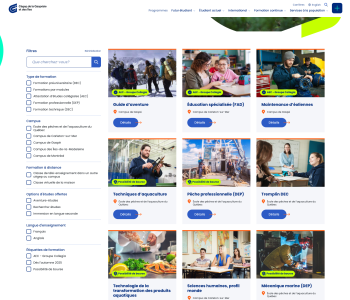 Site web cegepgim programme