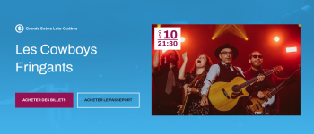 programmation firm site web