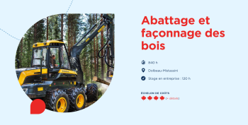 Destination Formation detail programme