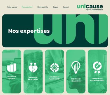 expertise site web unicause